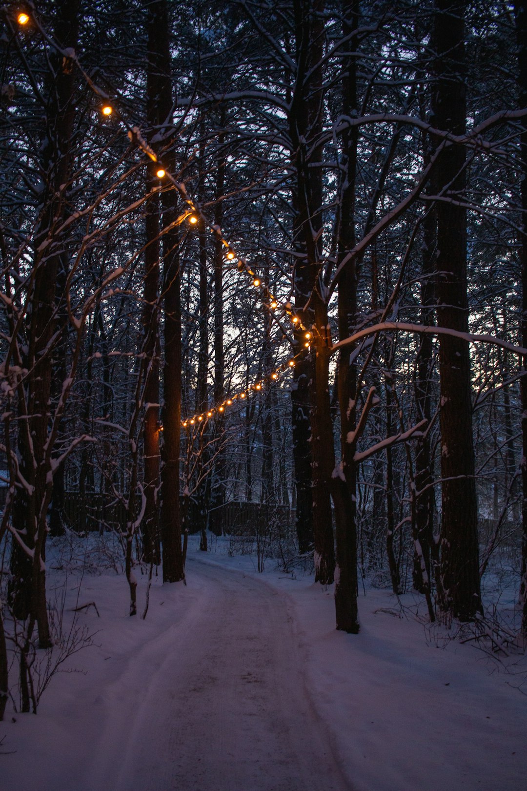 Die Magie der Rauhnächte